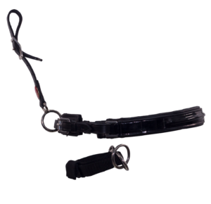 LightRider model voor shows | bitloos - Afbeelding 3