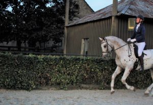 LightRider neusriem | bitloos - Afbeelding 3